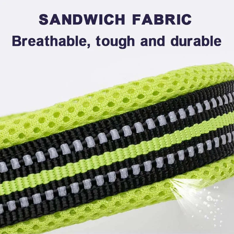 Winhyepet Nylon Dog Walking Collar Padded Comfort Buckle