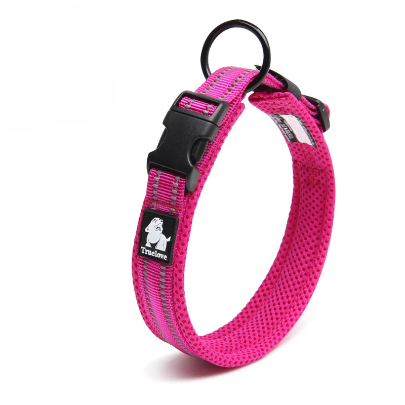Winhyepet Nylon Dog Walking Collar Padded Comfort Buckle