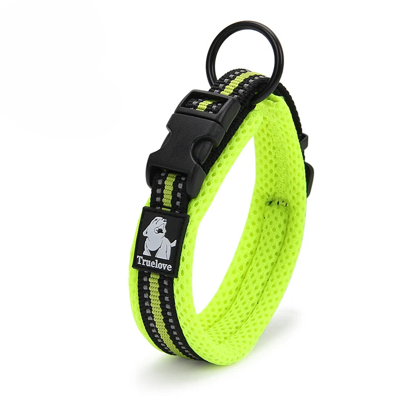 Winhyepet Nylon Dog Walking Collar Padded Comfort Buckle
