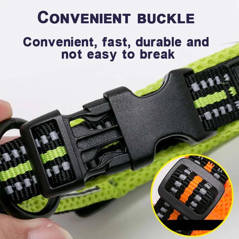 Winhyepet Nylon Dog Walking Collar Padded Comfort Buckle