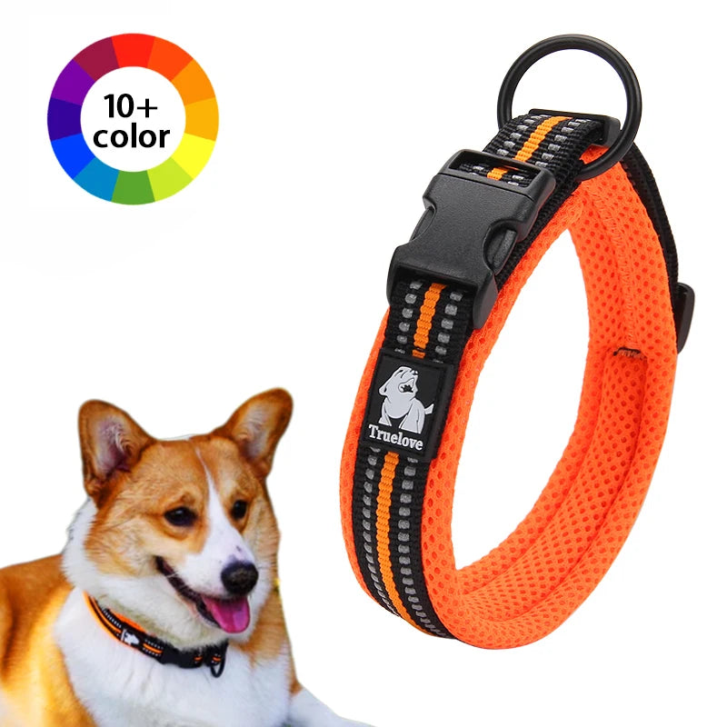 Winhyepet Nylon Dog Walking Collar Padded Comfort Buckle