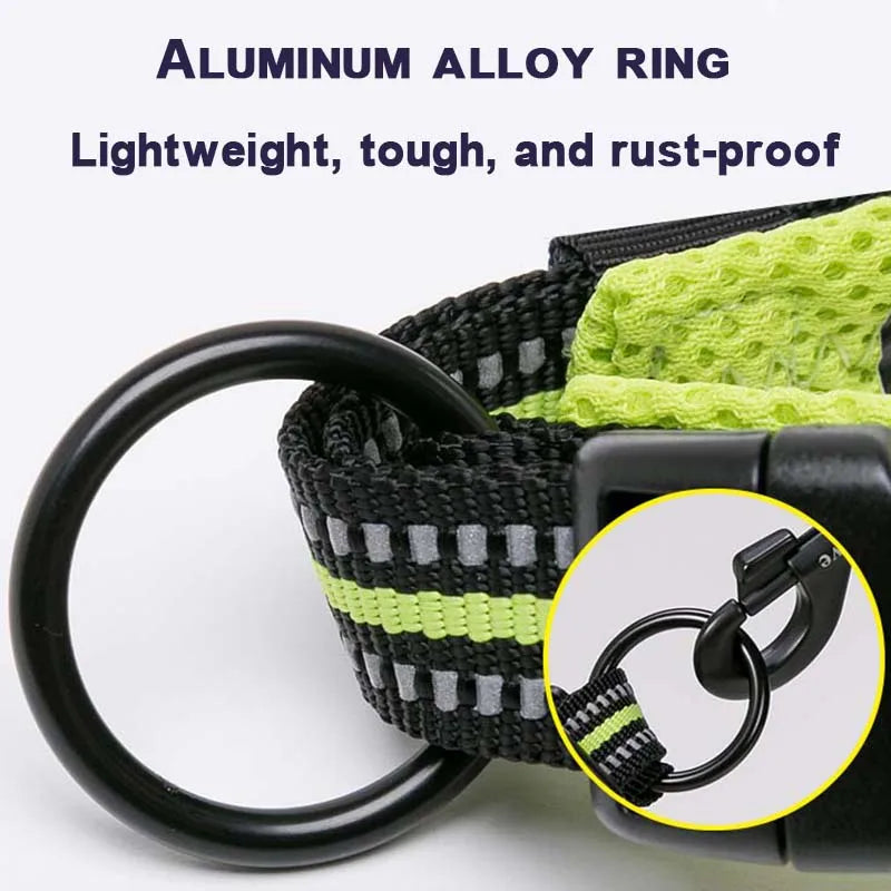 Winhyepet Nylon Dog Walking Collar Padded Comfort Buckle