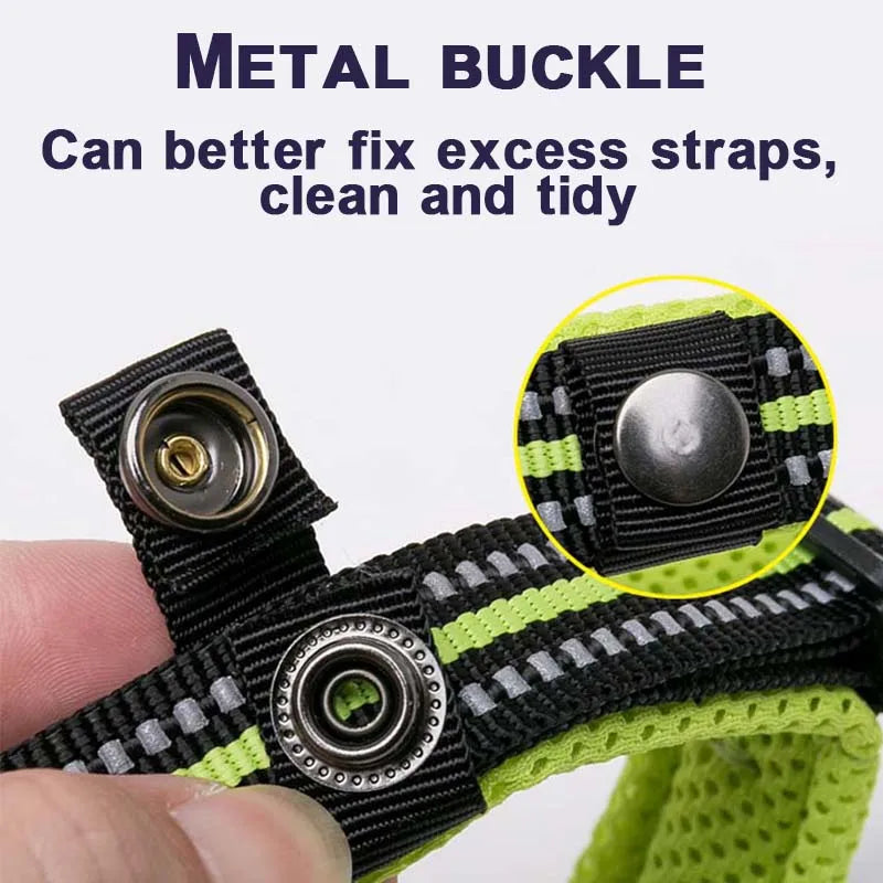 Winhyepet Nylon Dog Walking Collar Padded Comfort Buckle