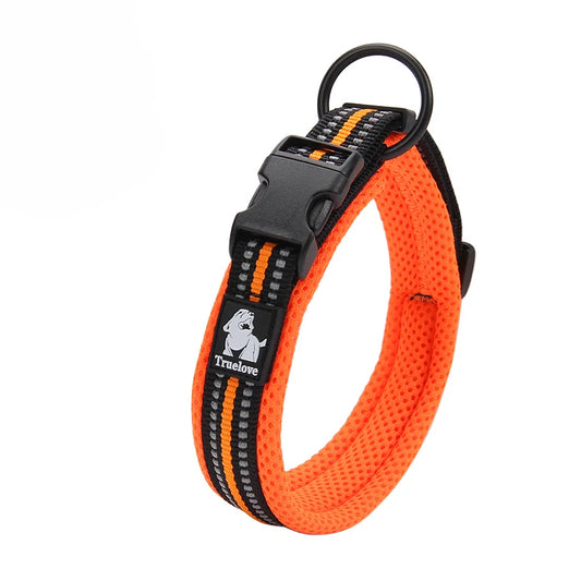 Winhyepet Nylon Dog Walking Collar Padded Comfort Buckle