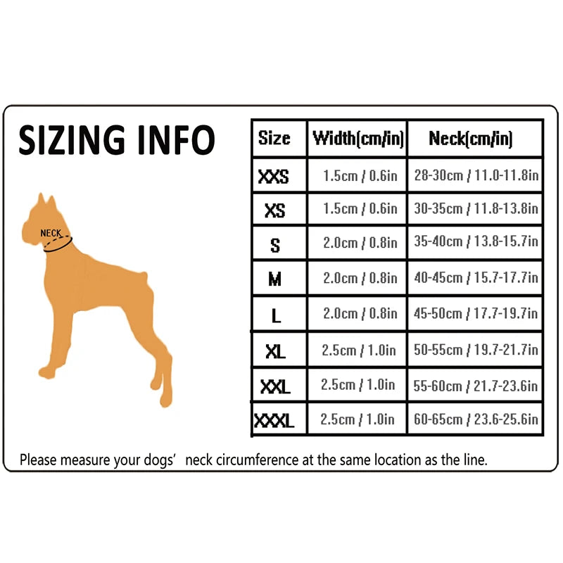 Winhyepet Nylon Dog Walking Collar Padded Comfort Buckle